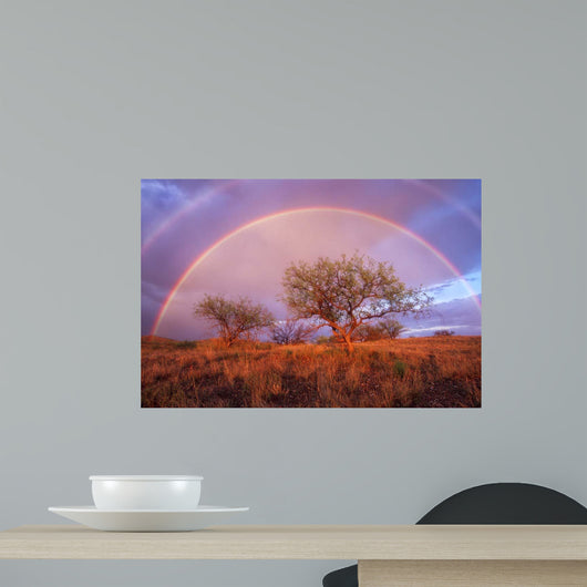 Arizona Rainbow Wall Decal