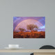 Arizona Rainbow Wall Decal