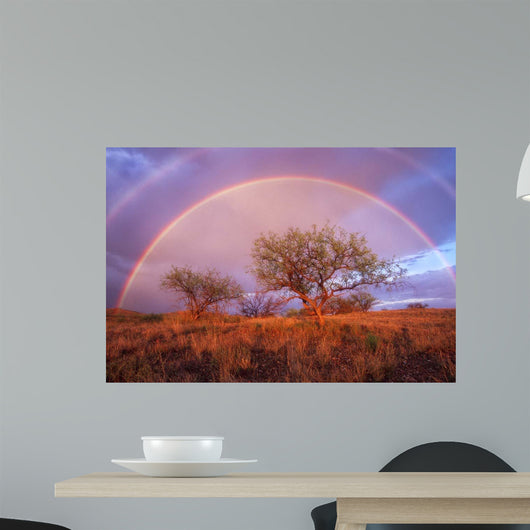 Arizona Rainbow Wall Decal
