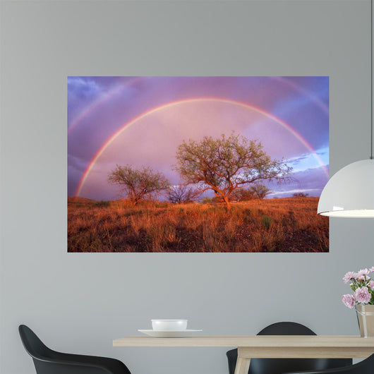 Arizona Rainbow Wall Decal