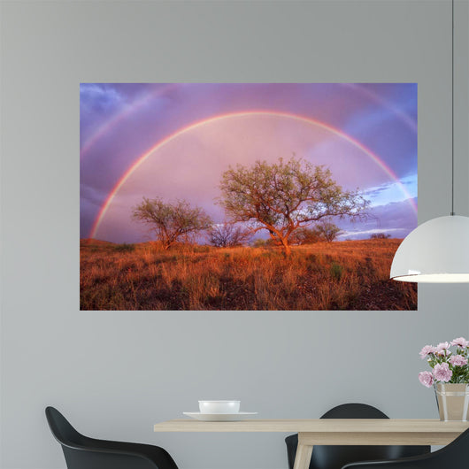 Arizona Rainbow Wall Decal