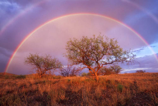 Arizona Rainbow Wall Decal