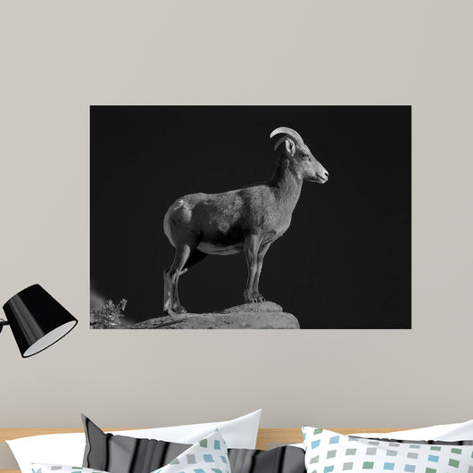 Bighorn Portrait Cf Wall Decal