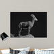 Bighorn Portrait Cf Wall Decal