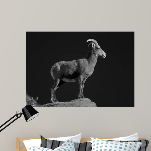Bighorn Portrait Cf Wall Decal