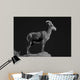 Bighorn Portrait Cf Wall Decal
