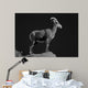 Bighorn Portrait Cf Wall Decal