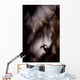 Bighorn Silhouette Best Wall Decal