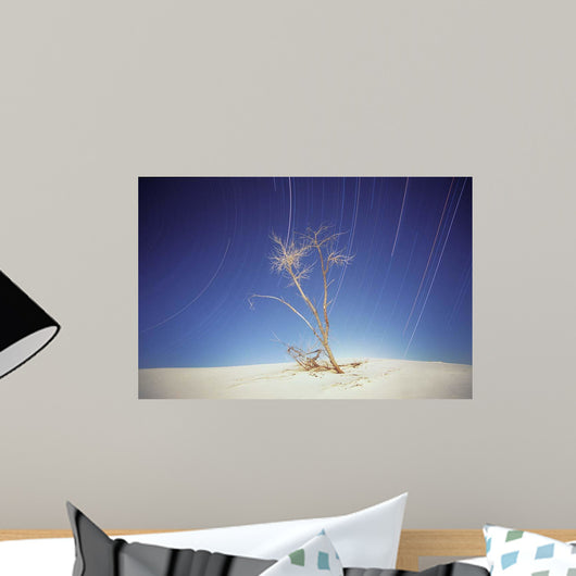 Bright Cottonwood Drum Scan Wall Decal