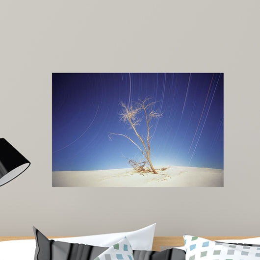 Bright Cottonwood Drum Scan Wall Decal