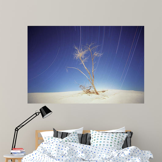 Bright Cottonwood Drum Scan Wall Decal