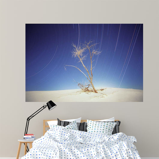 Bright Cottonwood Drum Scan Wall Decal