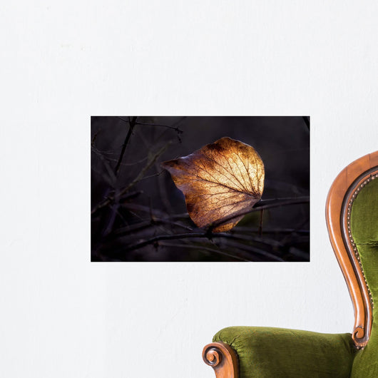 Bright Leaf Proc Wall Decal