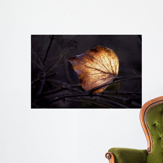 Bright Leaf Proc Wall Decal