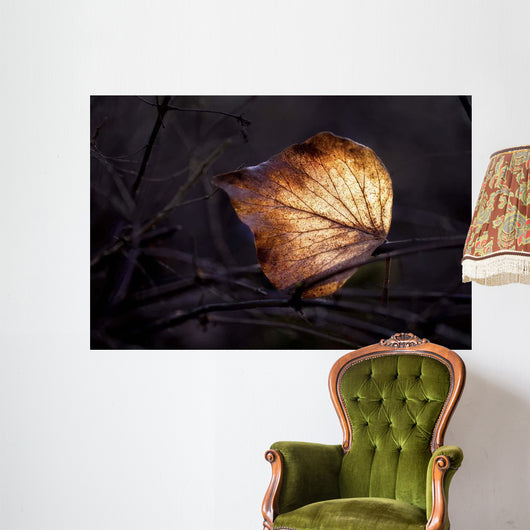 Bright Leaf Proc Wall Decal