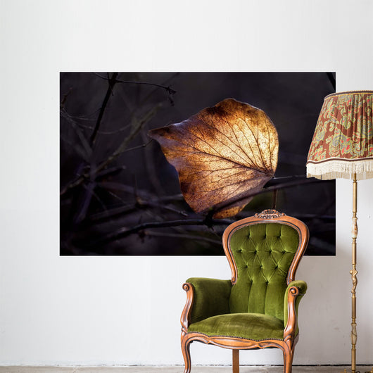 Bright Leaf Proc Wall Decal