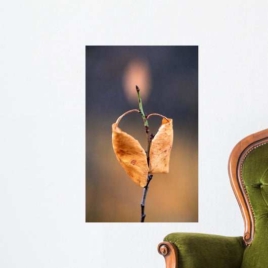 Candle Plant Wall Decal