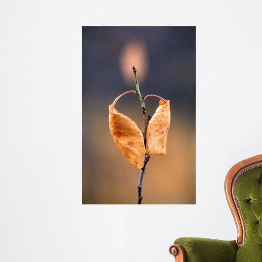 Candle Plant Wall Decal