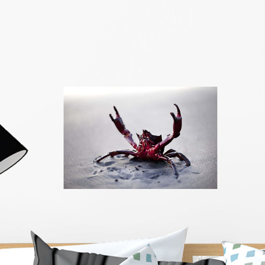 Claws up Wall Decal
