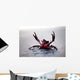 Claws up Wall Decal