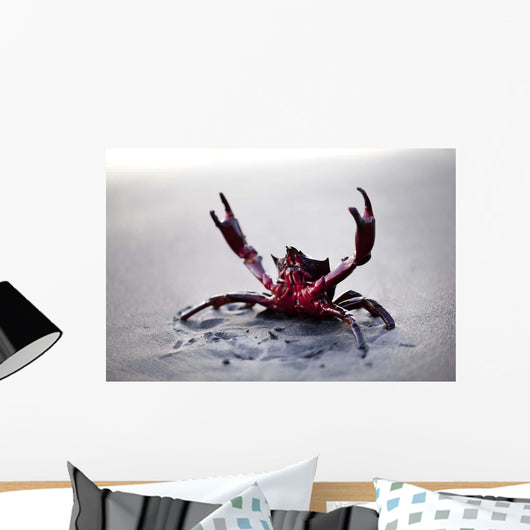 Claws up Wall Decal