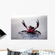 Claws up Wall Decal