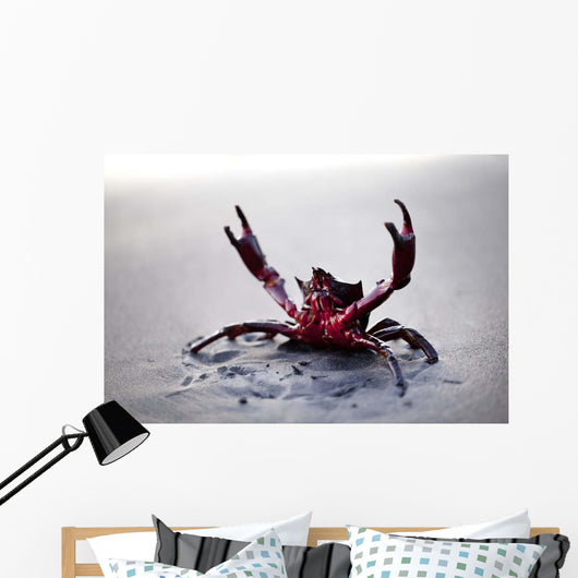 Claws up Wall Decal