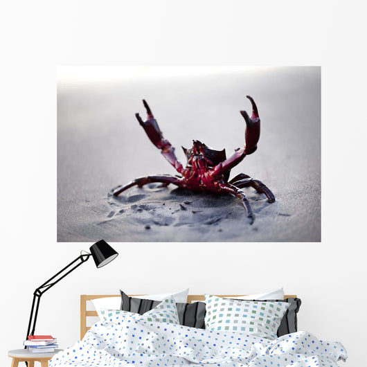 Claws up Wall Decal