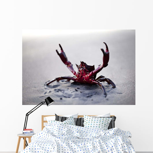 Claws up Wall Decal