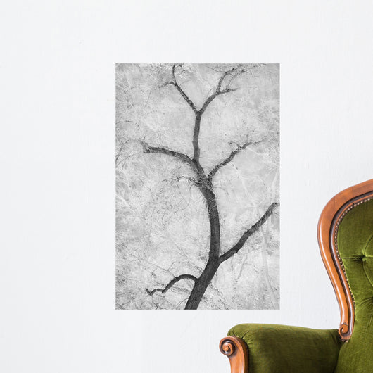 Cottonwood Form B W Wall Decal