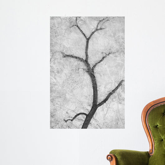 Cottonwood Form B W Wall Decal