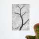 Cottonwood Form B W Wall Decal