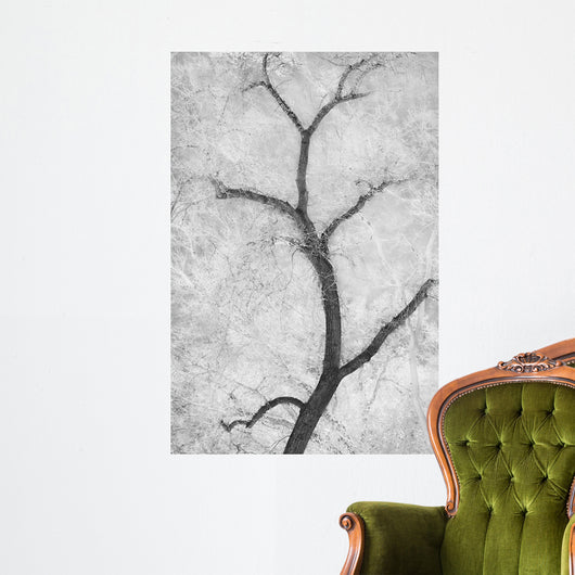 Cottonwood Form B W Wall Decal