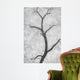 Cottonwood Form B W Wall Decal