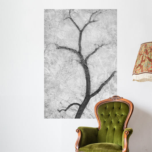 Cottonwood Form B W Wall Decal