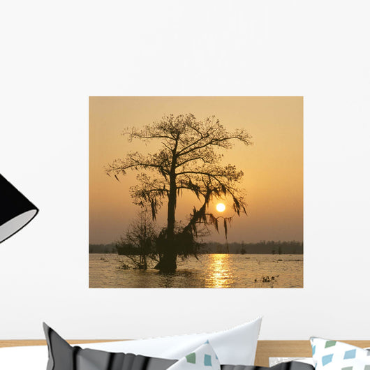 Cypress Proc Wall Decal