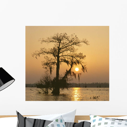 Cypress Proc Wall Decal