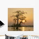 Cypress Proc Wall Decal