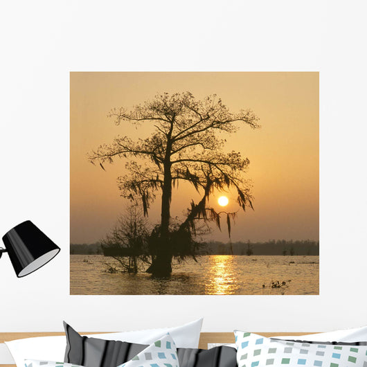Cypress Proc Wall Decal