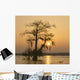 Cypress Proc Wall Decal