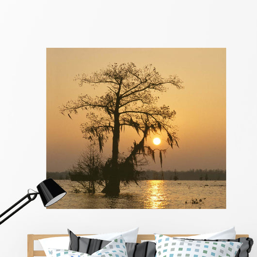 Cypress Proc Wall Decal