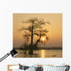 Cypress Proc Wall Decal