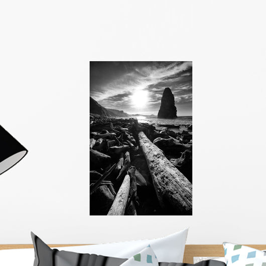 Driftwood Sun 1 Silver Wall Decal