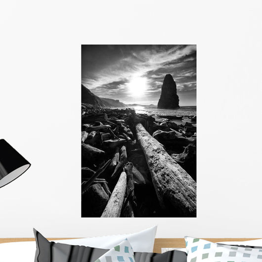 Driftwood Sun 1 Silver Wall Decal