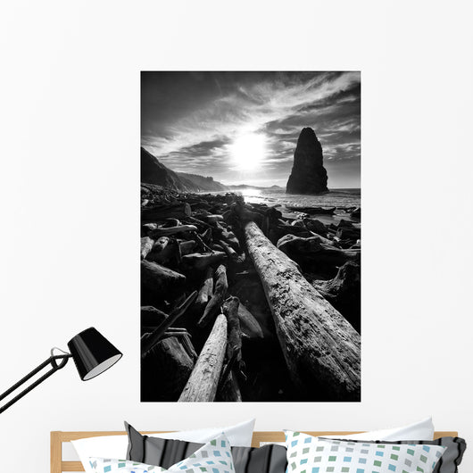 Driftwood Sun 1 Silver Wall Decal
