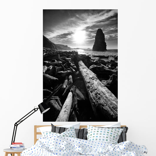 Driftwood Sun 1 Silver Wall Decal