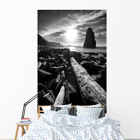 Driftwood Sun 1 Silver Wall Decal
