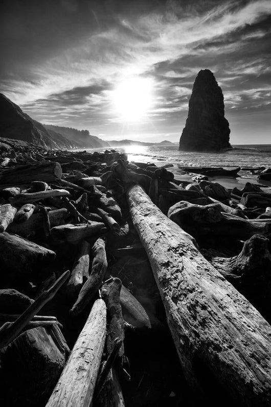 Driftwood Sun 1 Silver Wall Decal