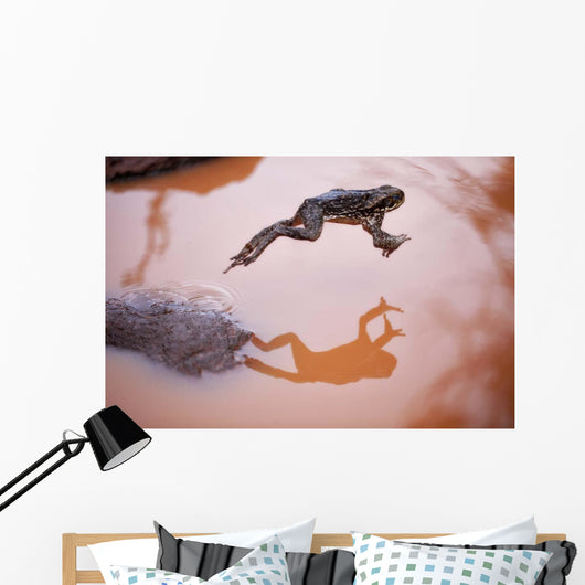 Frog Jump 3 Wall Decal
