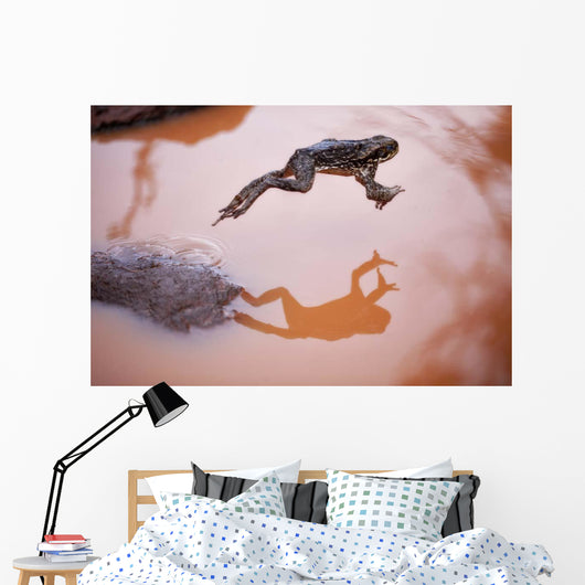 Frog Jump 3 Wall Decal